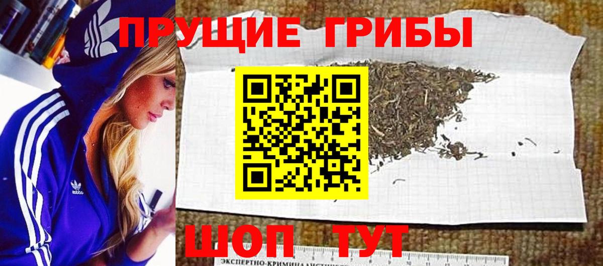 Белореченск  Псилоцибиновые грибы Psilocybe  Галлюциногенные грибы ЛСД  Вход с VPN 